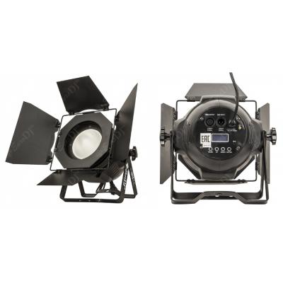 EURO DJ COB LED PAR-WW II 